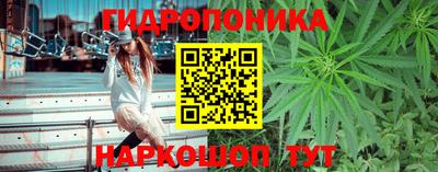 МДМА Заводоуковск