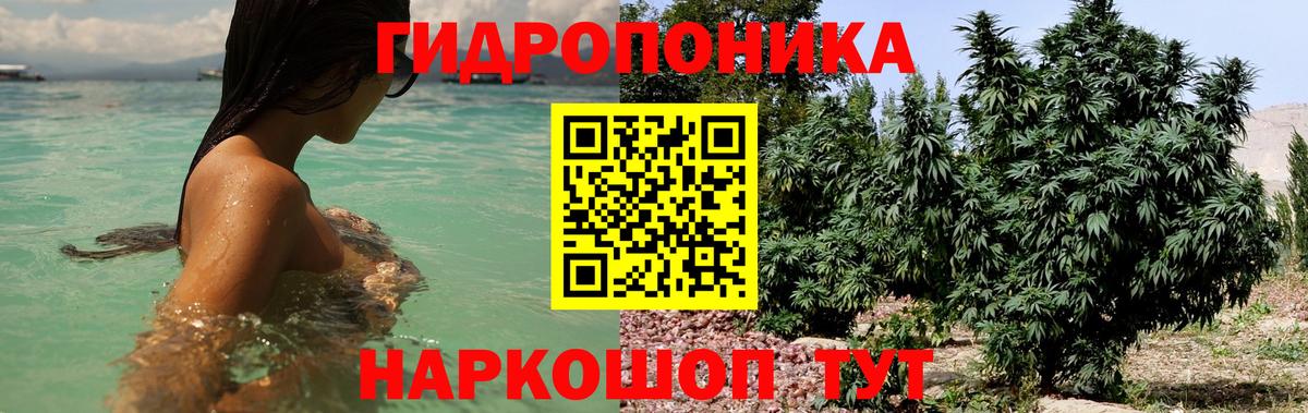 Бошки Шишки план  Вход с VPN  Канабис Ganja  Медногорск  Каннабис индика 